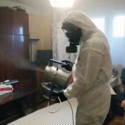 Дезинфекция от клопов в Ноябрьске